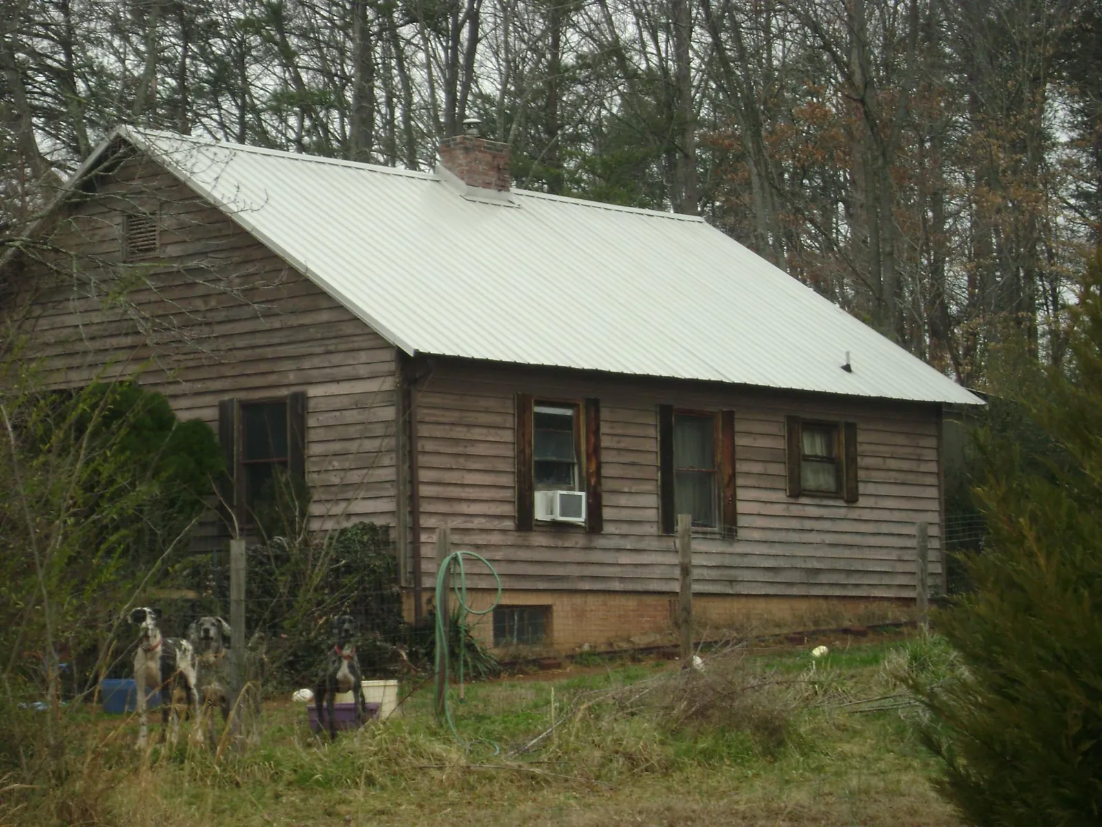 White metal roof on an old wood sided farmhouse, from a Asphalt Shingle Roof Repair job in Churchville